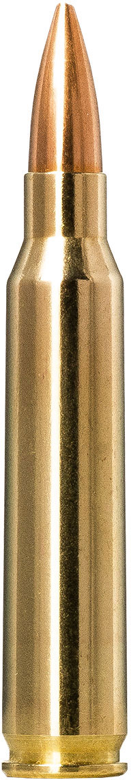 Norma Golden Target .223 REM 69 Grain Boat Tail Hollow Point Brass Cased Rifle Ammunition