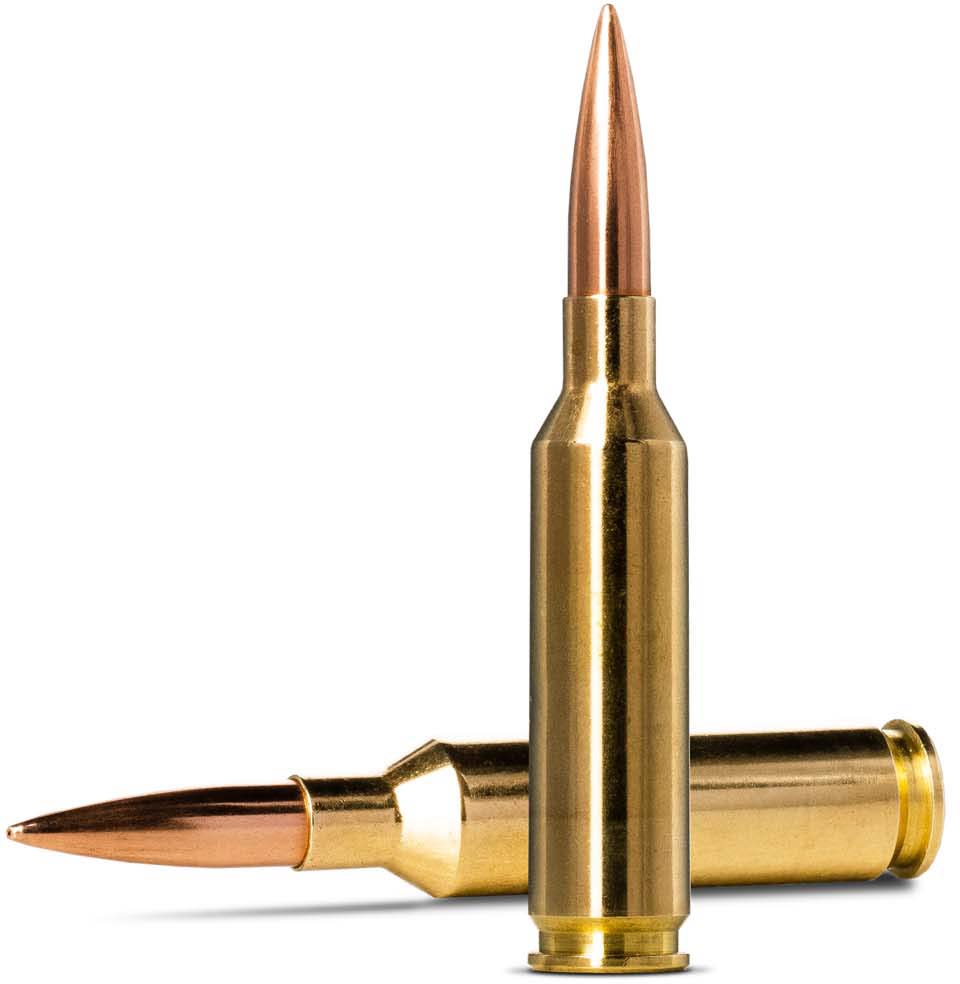 Norma MATCH 6mm Creedmoor 107gr Brass Cased Centerfire Rifle Ammunition