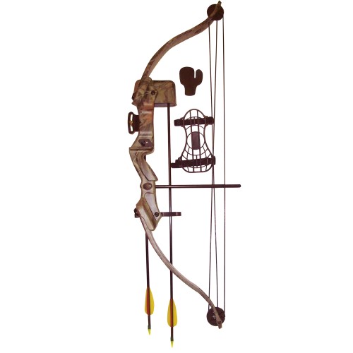 Compound recurve store bow