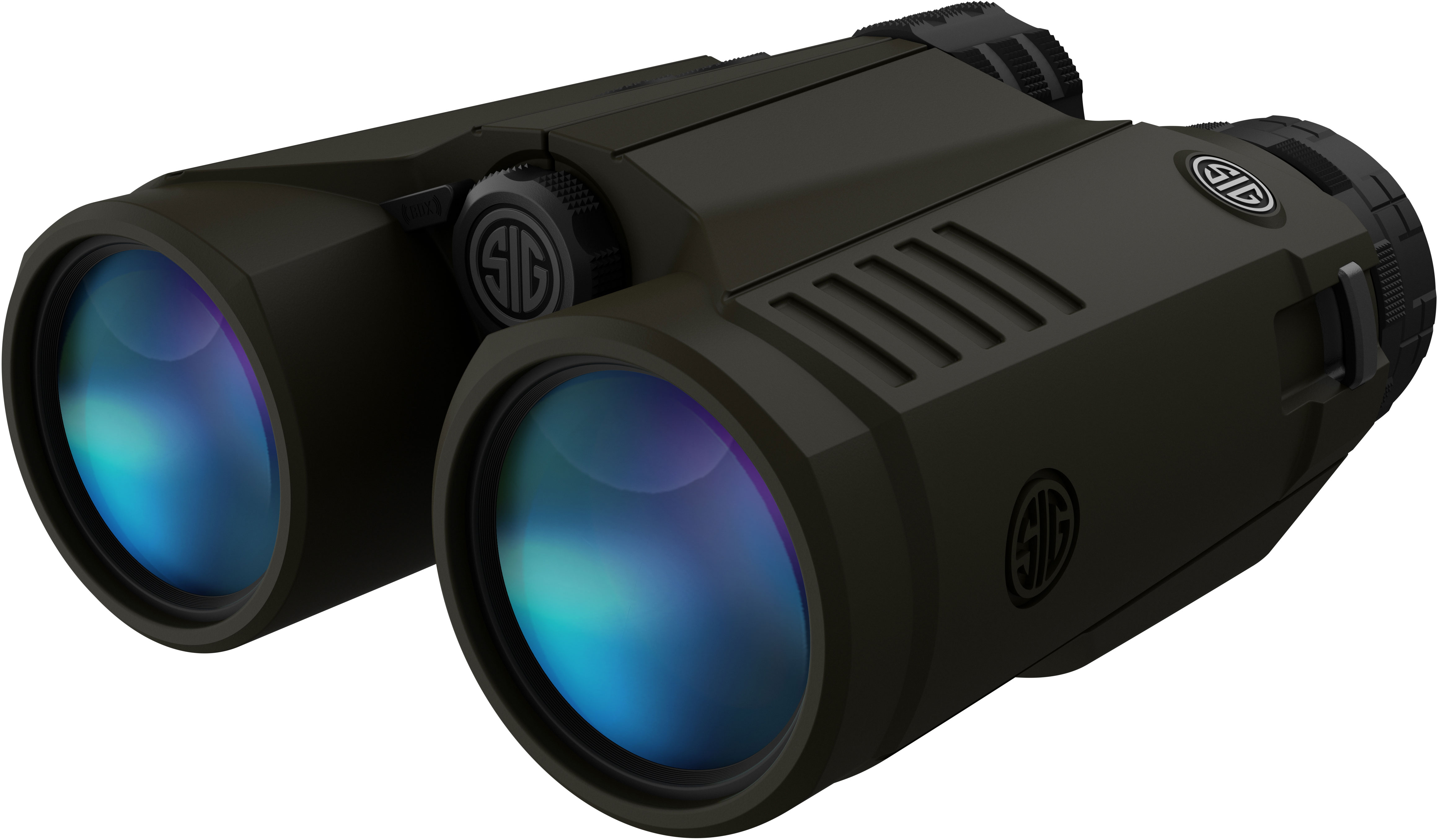 sig kilo binoculars