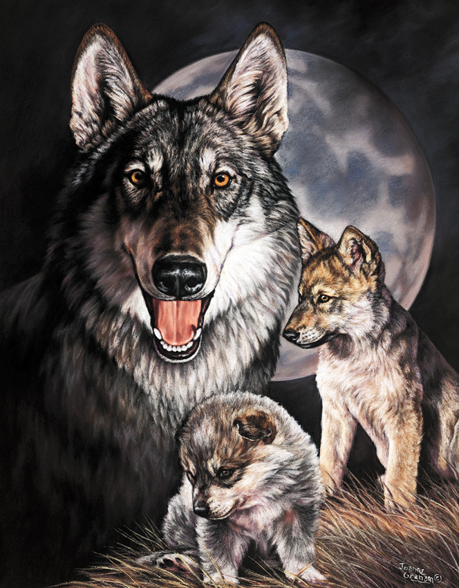 Постер с волком. Плакат с волком. Постер волки. Идеи для волка. Warlock плакат с волком.