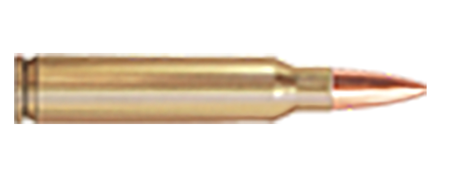 PPU 5.56x45mm NATO 55 grain Full Metal Jacket Boat Tail (FMJBT) Brass Cased Rifle Ammunition