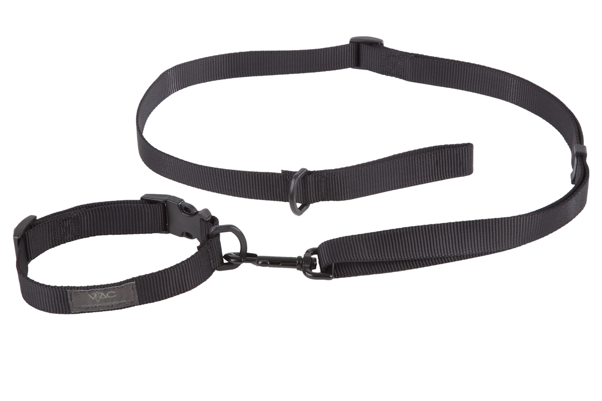 leash with collar