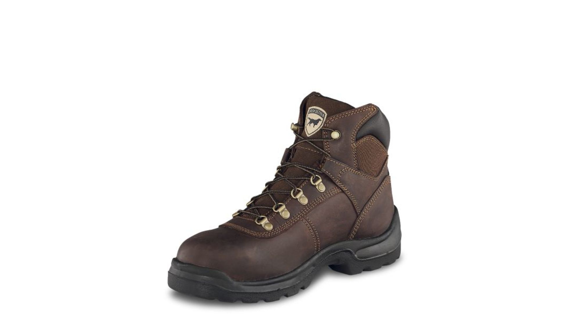 irish setter 83608
