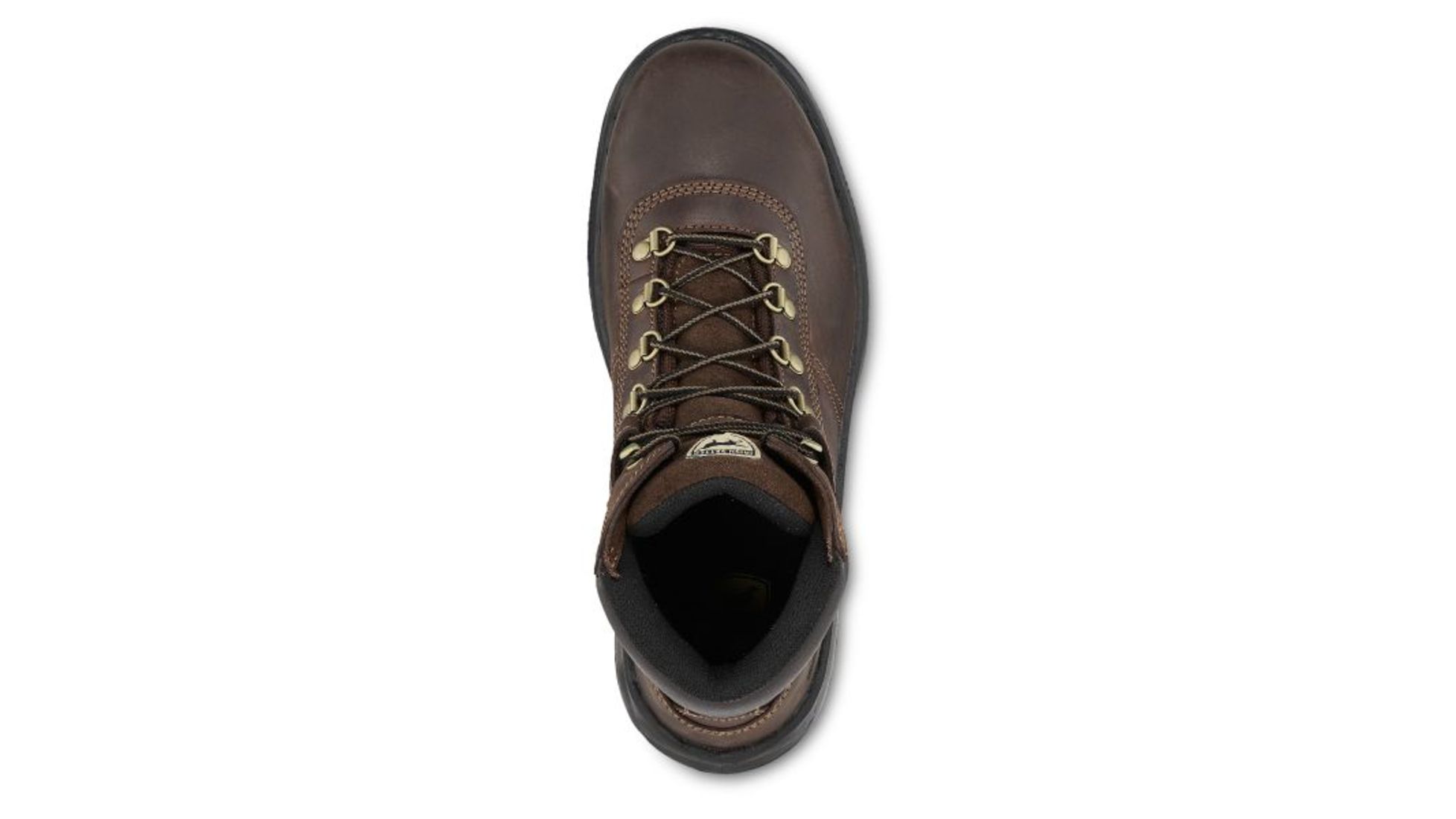 irish setter 83608