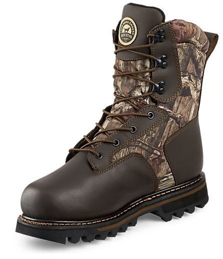 irish setter 2813