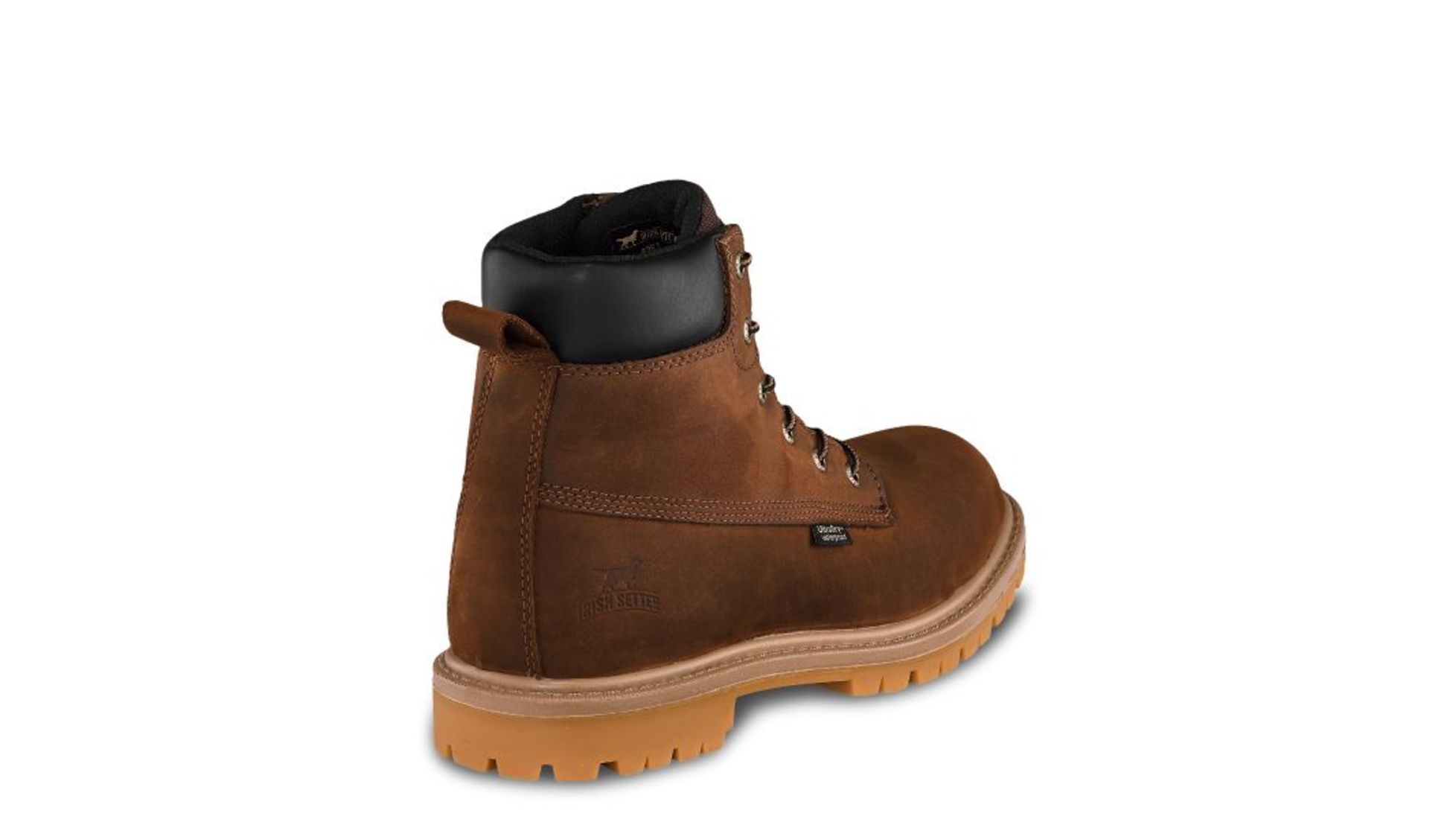 irish setter hopkins