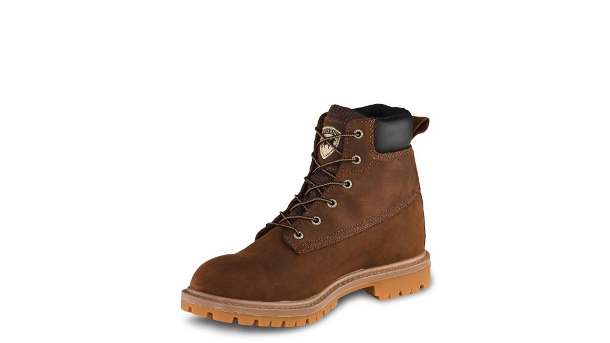 irish setter hopkins