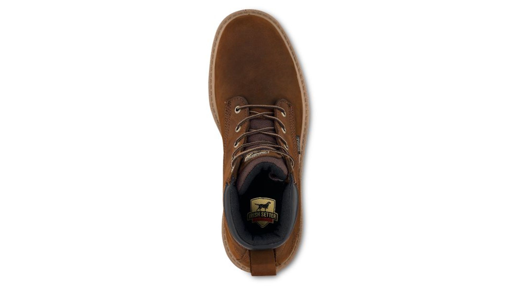 irish setter hopkins