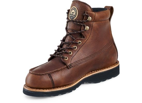 irish setter 807