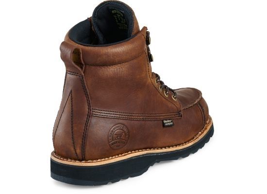 irish setter wingshooter 807
