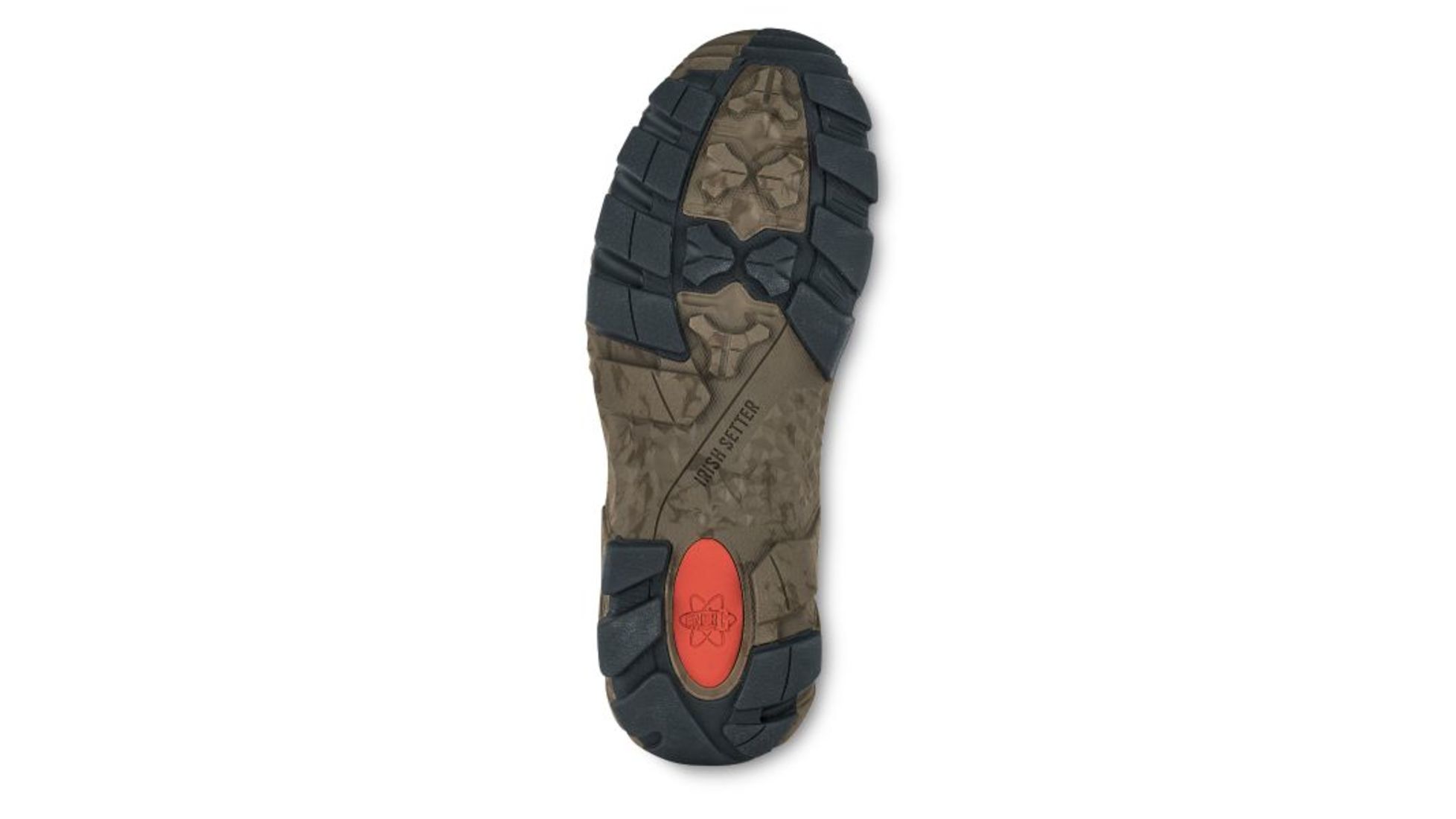 irish setter 2830