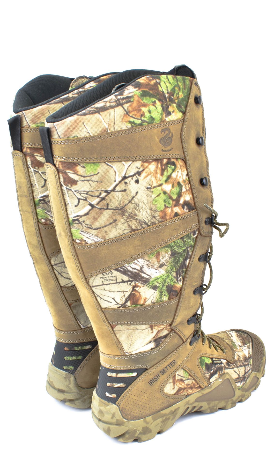 irish setter 2875