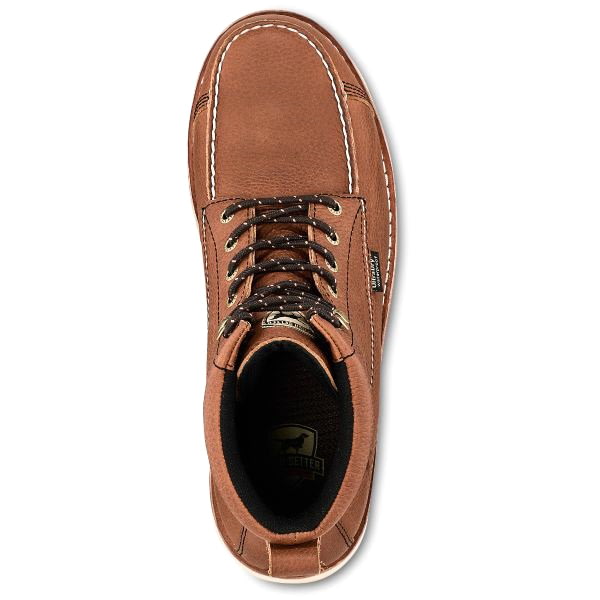 irish setter 83620