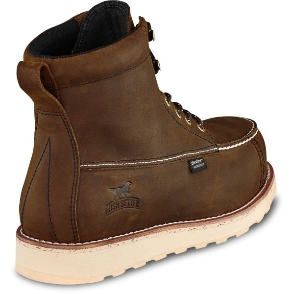 wingshooter st irish setter