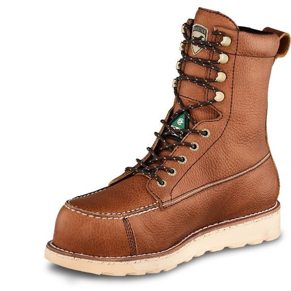 wingshooter st irish setter