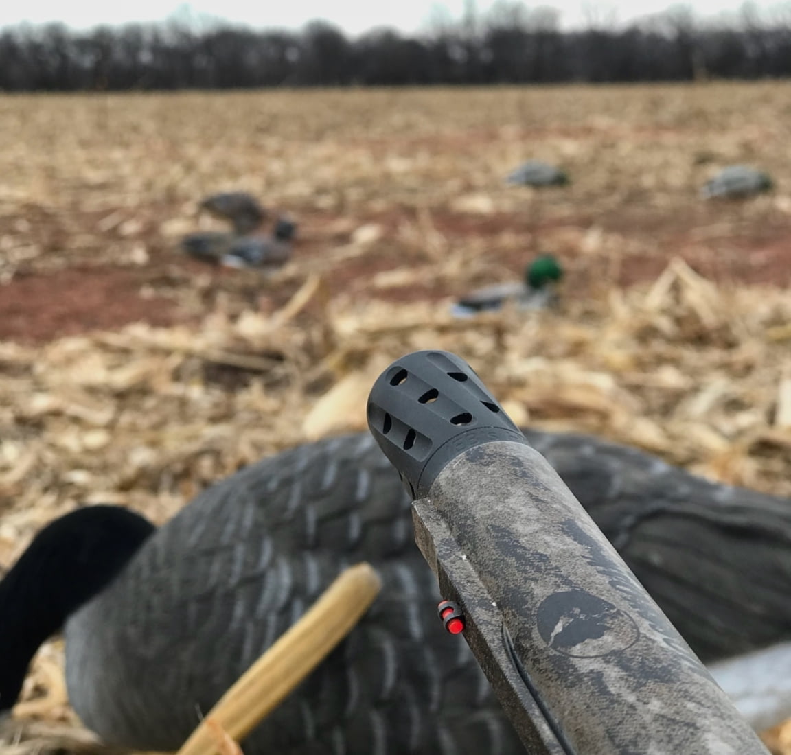 Jebs Choke Tubes Head Hunter Black Nitride 20 Gauge Turkey Choke Tube