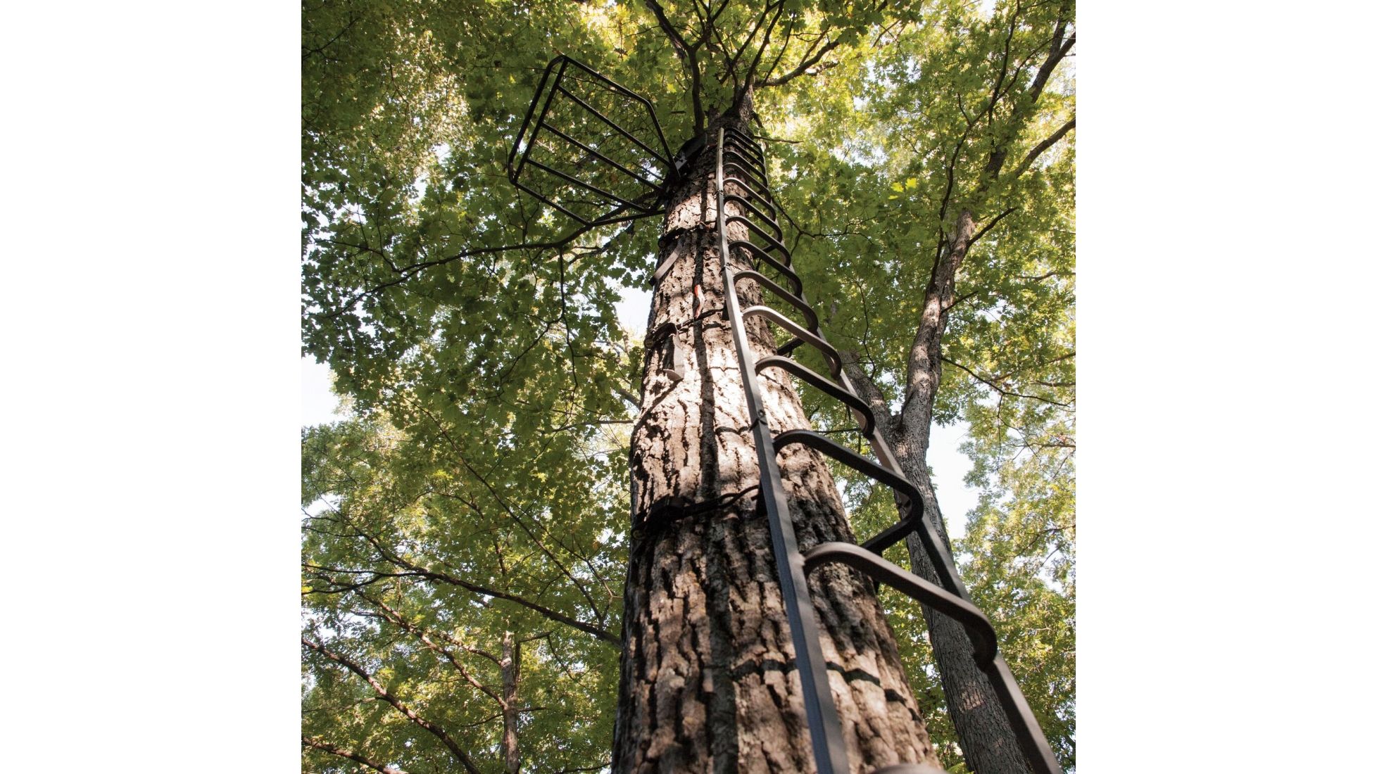 Rivers Edge Treestands Big Foot Tree Ladder Free Shipping over 49!