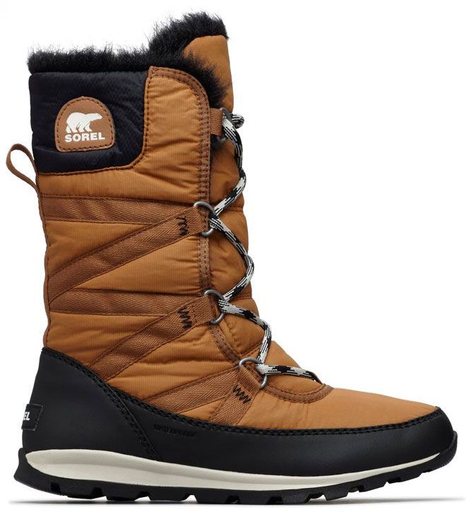sorel women's whitney tall lace ii