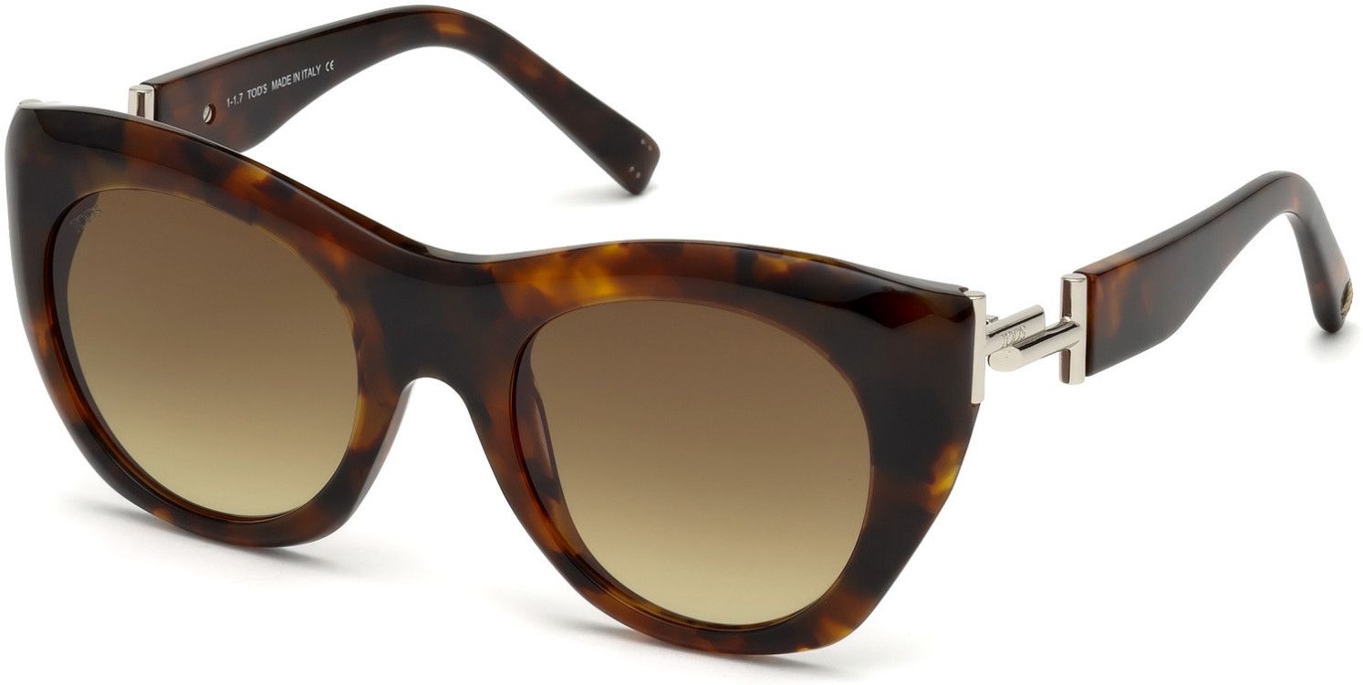 Tod's TO0214 Sunglasses - Men's | Free Shipping over $49!