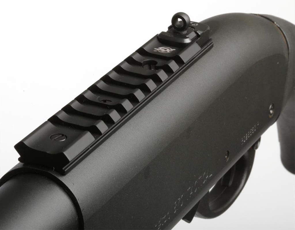 Shotgun Xs Sights My XXX Hot Girl